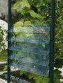 Jalusifönster Växthus Grön 610 x 450 mm Vitavia